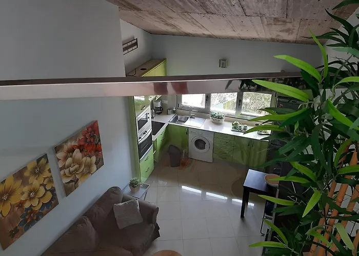 Loft Luminoso San Juan 別荘 テルデ